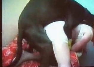 Vintage sex with a nice-looking Doberman