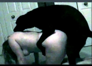 Amateur bestial sex with a Doberman