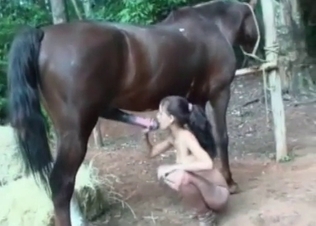 Giant dick of a black stallion