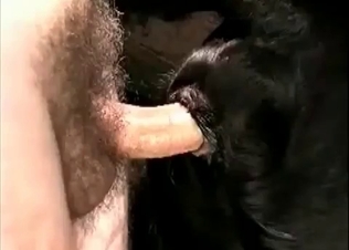 Hairy dude fucks this animal's ass