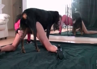Slow and passionate animal sex in the bed
