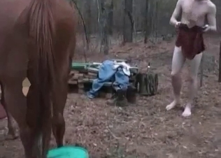 Brown mare is getting drilled hard