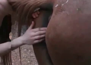 Brown mare is getting drilled hard