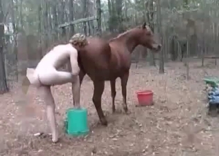 Brown mare is getting drilled hard