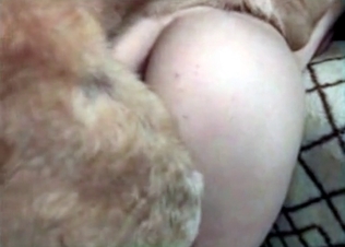 Venous dong of a nice young dog