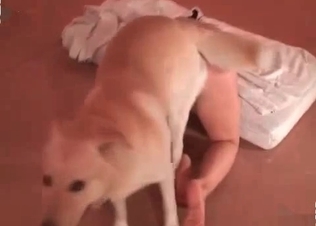 Lil doggy is drilling a juicy pussy