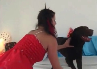 Black dog fucks with a slender chick