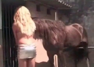 Leggy blonde is enjoying crazy zoo porn