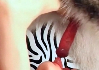 Sexy husky is licking her little puss