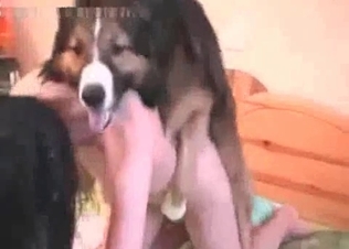 Kinky lass fucks with a dog