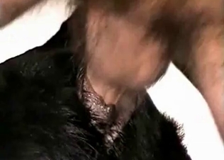Hard dick in a tight anal hole