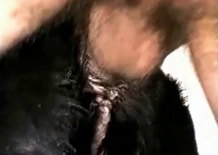 Hard dick in a tight anal hole