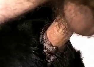 Hard dick in a tight anal hole