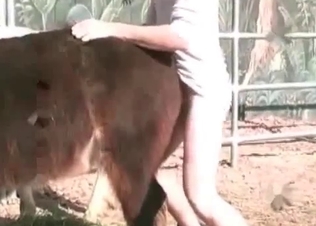 Hardcore farm animal sex action