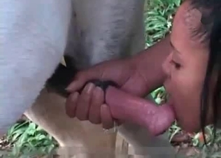Insane sex with a hot horse