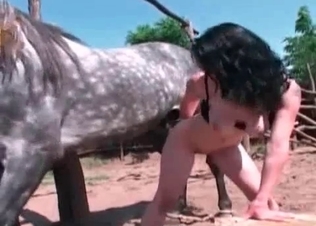 Black horse and a hot brunette