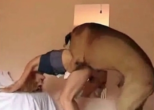 Slender doggy is so freaking playful