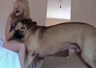 Slender doggy is so freaking playful