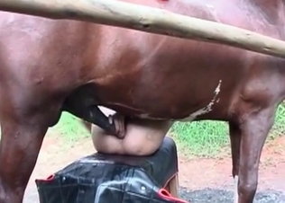 Black horse cums in her small twat