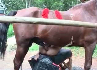 Black horse cums in her small twat
