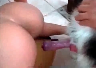 Sensual penetration in the zoo video