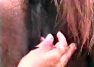 Zoo guy is playing with a horse