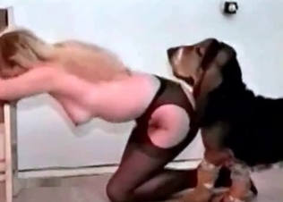 British Retriever fucks a blonde