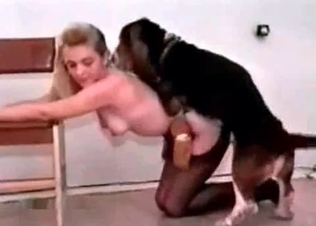 British Retriever fucks a blonde