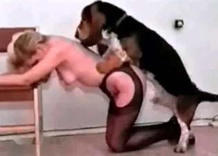 British Retriever fucks a blonde