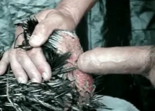 Cock is being pounded from behind