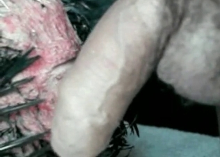 Cock is being pounded from behind