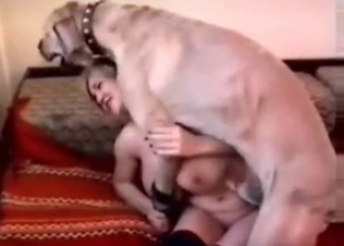 Milf and dog in the animal scene