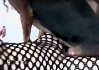 Bitch loves to fuck with a dog
