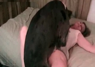 Dalmatian and a hot young wife