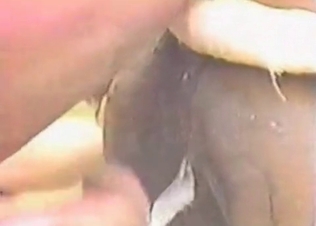 Dirty outdoor farm zoophilia
