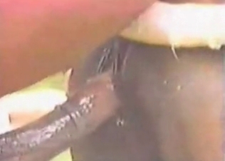 Dirty outdoor farm zoophilia