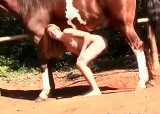 She is really enjoying horse dick