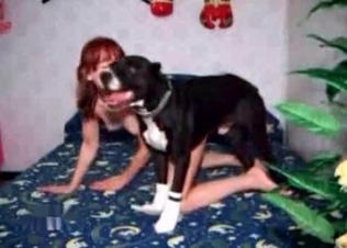 Nasty zoophilic action goes crazy