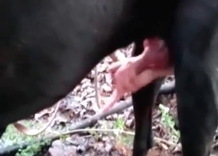Brutal action with a nice animal