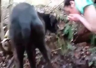 Brutal action with a nice animal