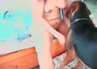 Cum and blowjob in the zoo porn