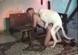 White doggy is fucking her twat