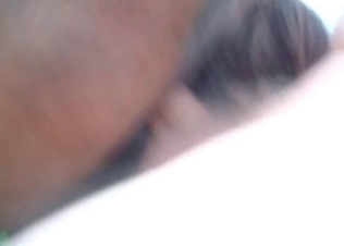 Horse is being fucked from behind