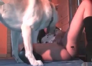 Dirty girl is enjoying dog action