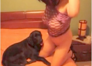Black retriever is sucking a pussy