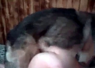 Nast as hell amateur zoophilia