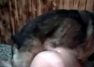 Nast as hell amateur zoophilia