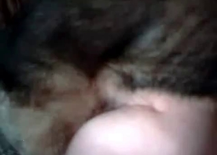 Nast as hell amateur zoophilia
