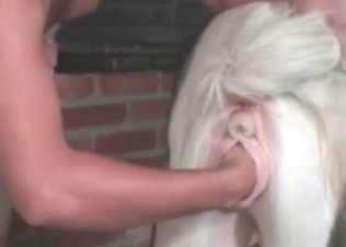 Intensive anal sex with a pet