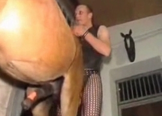 Hardcore horse in the animal sex vid